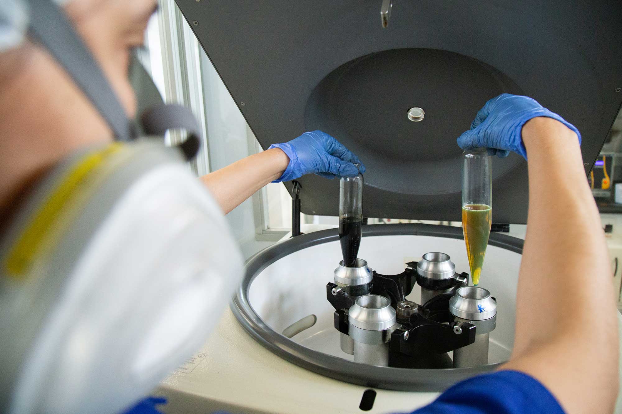 edit-LubFenix_impressao-(36)